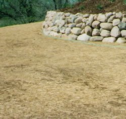 New Lawn Prepared For Seed Germination