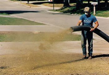 Blowing Straw Over Grass Seed