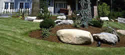 Residential Landscape Design